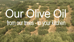 our olive oil